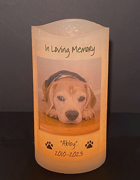 Pet Memorial with Photo PERSONALIZED on 4 X 8 flameless LED Candle