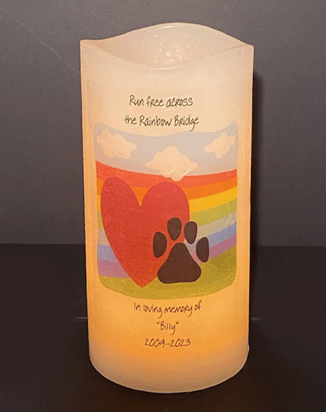 Pet Memorial Rainbow Bridge, PERSONALIZED,  on 4 x 8 inch flameless LED candle